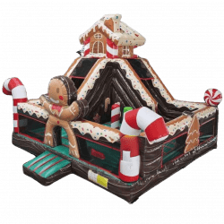 Gingerbread Climb & Slide