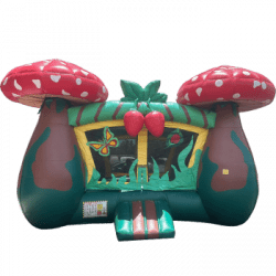 Mushroom Bounce House