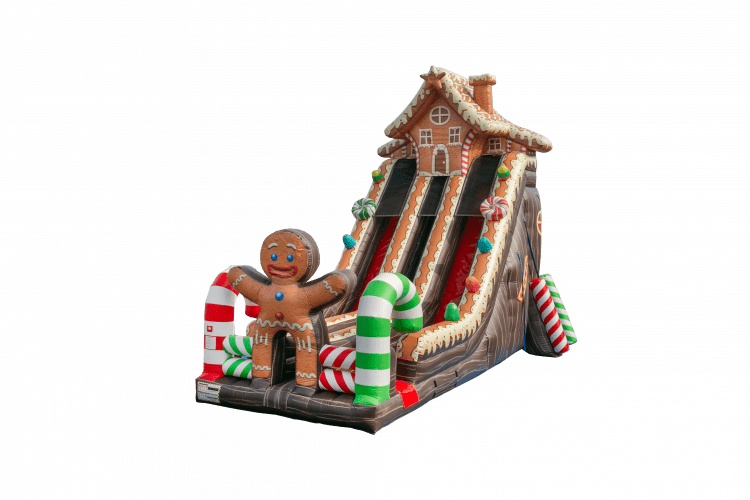 Gumdrop Gingerbread Double Lane Slide DRY ONLY