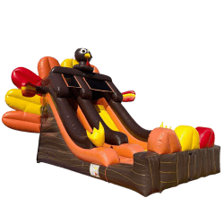 Turkey20Slide202 1760094744 Turkey Slide