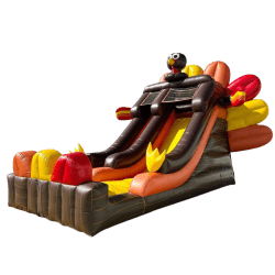 Turkey20Slide203 1760094745 Turkey Slide