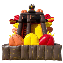 Turkey Slide
