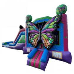 Butterfly20Dual20Lane20Combo 1702583729 big 1774876977 Butterfly Dual Lane Combo