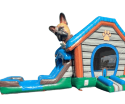 Puppy20Dog20Bounce20Slide20Combo 1769031316 big 1774880111 Puppy Dog Dual Lane Combo Wet/Dry