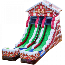 Gingerbread20Slide 1708551550 big 1775144347 Gingerbread Slide