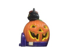 785925211 1353687509828355 9067801315007114282 n 1787854869 Purr-fect Pumpkin Combo (Dry Only)