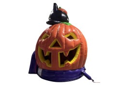786888541 4115184672115239 4154510638717323927 n 1787854869 Purr-fect Pumpkin Combo (Dry Only)