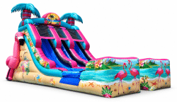 1db8ed83 c95d 49fe b5b8 3484dac0553c 1791474872 16' Phoebe's Flamingo Oasis Dual Lane w/ Splash Pad
