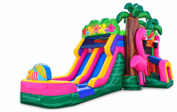 a0ba9fdf 3e66 4afb 9506 b612d620e31b 1791474515 Phoebe's Flamingo Dual Lane Combo